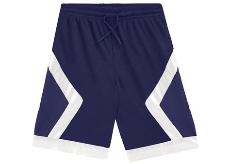 Dior x Jordan Basketball Shorts Navy Men's 